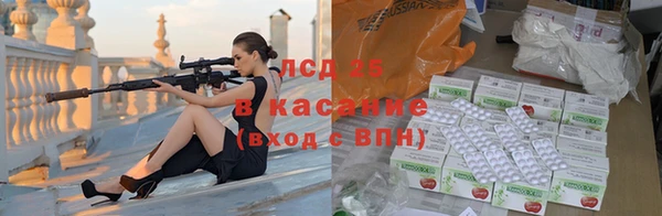 стаф Козловка