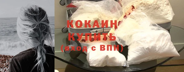 стаф Козловка