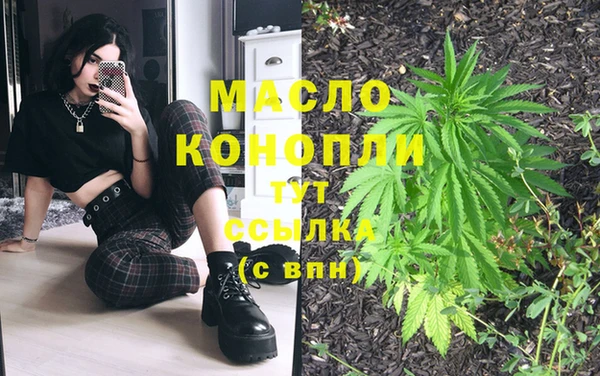 стаф Козловка