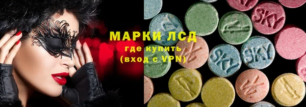 стаф Козловка