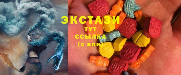 стаф Козловка