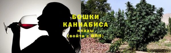 стаф Козловка